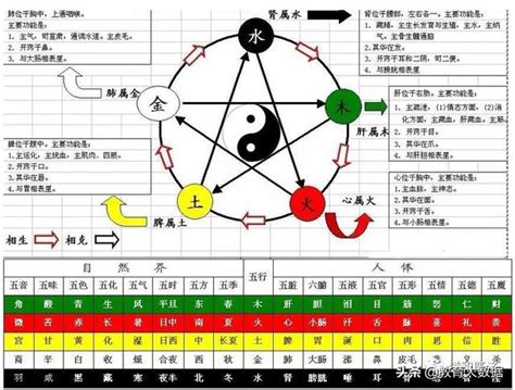 天運五行 火|天运五行属火是什么意思 – 八字命相属火人性格